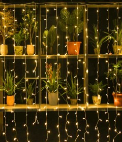 Curtain lights