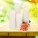Plastic candles