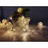 10LED Warm lantern LED battery lamp