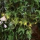 4 Sets 10-LED Copper Wire String Light – Perfect for Festive Decor